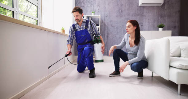 Best Pest Exclusion Services  in Elmwood, IL